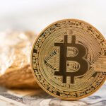 The Pros and Cons of Switching to a Fully Digital Payment Wallet main cryptocurrency